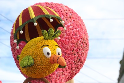 Teh detail was great