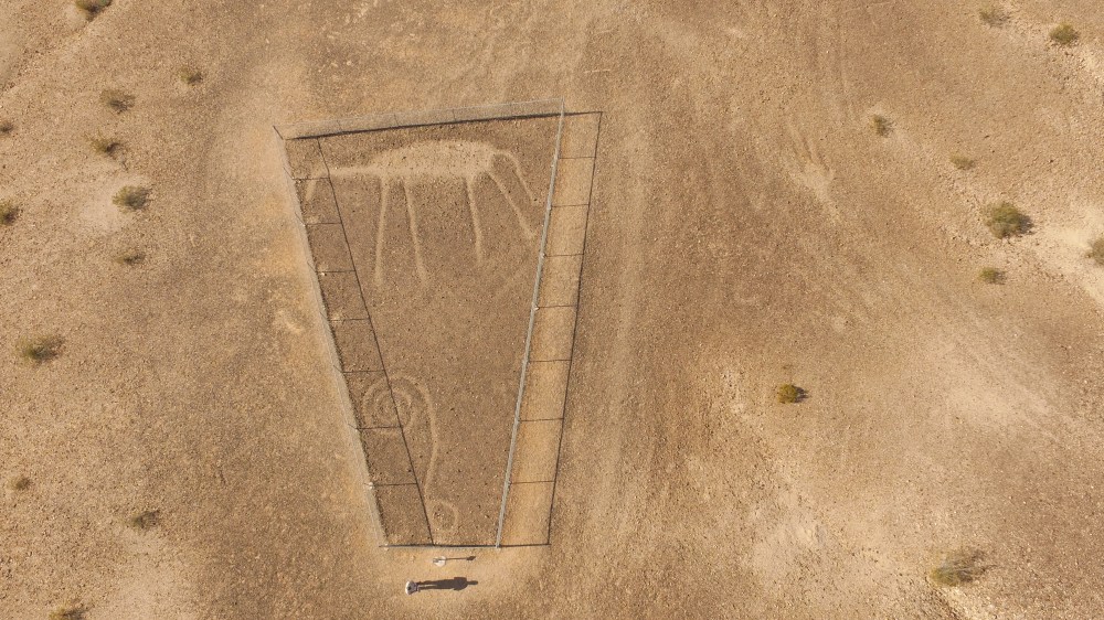 This Animal shot was nice. They are not sure what the curl at the bottom is supposed to represent