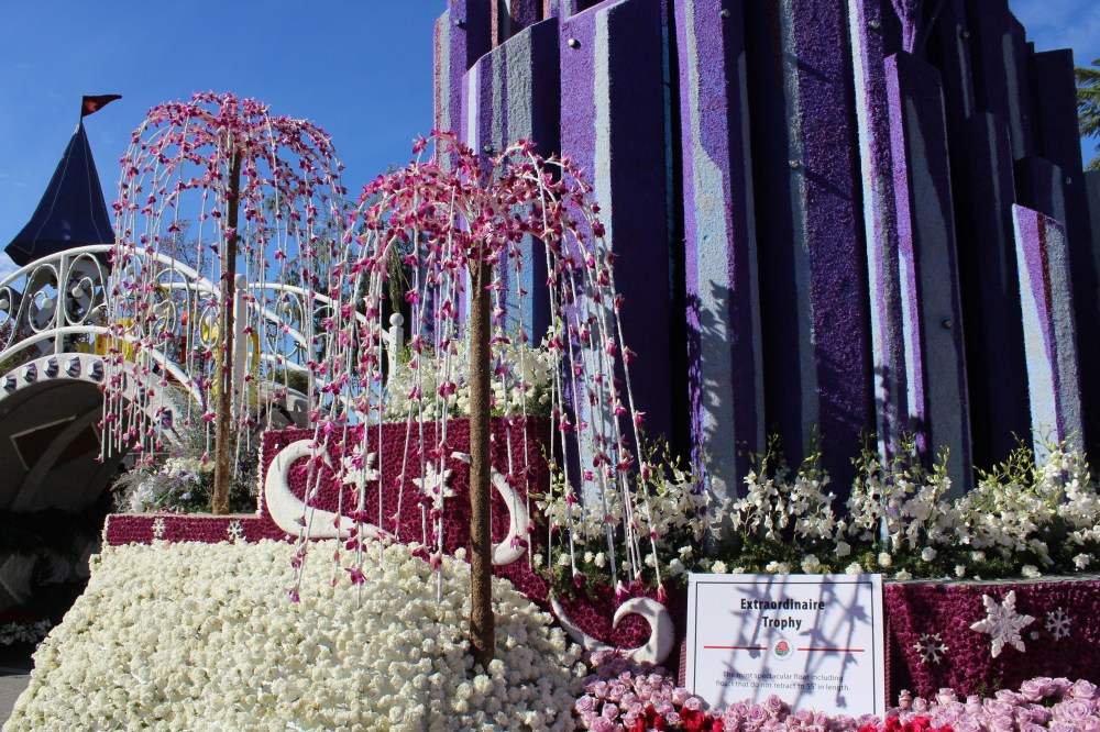 This is where I put flowers on the castle and I got to touch those trees. I know dork right :)