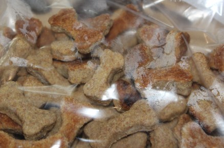 I made homemade dog biscuits (recipe below), with mixed results. Hurley and Hobie liked them, Daisy not so much