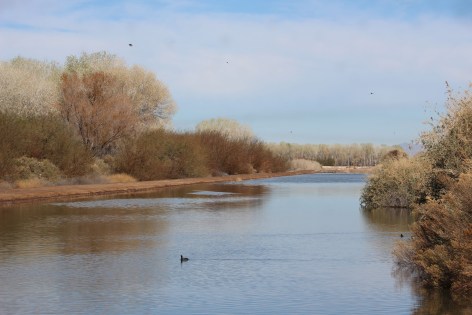 So much water for the desert