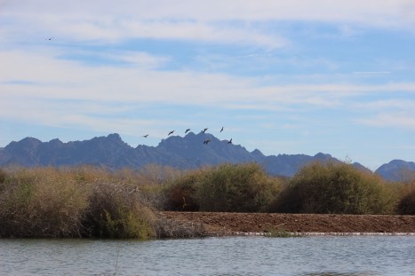 And nice mountain views