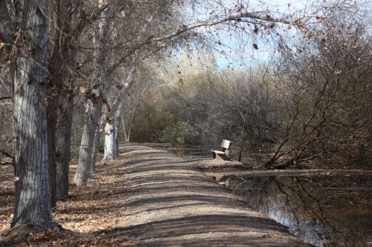 they had nice benches everywhere and really recommend you sit and wait for awhile to see the birds or other widllife