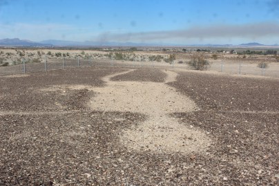 One of them I could get a pretty decent picture of