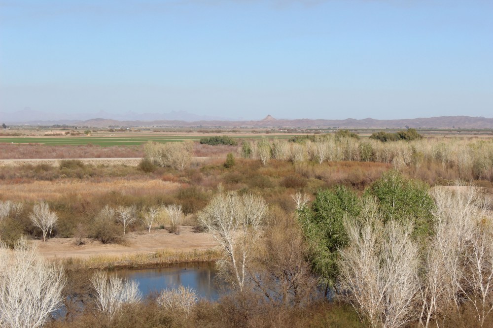 View from the watchtower