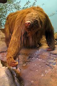 Giant sloth recreation in the visitors center.