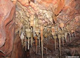Somewhat unique turnip formations which are only found in one part of the cave