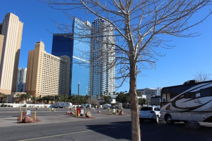 We even have a little tree