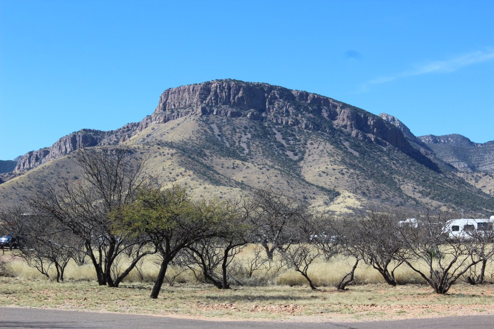 Love this view from our desk window
