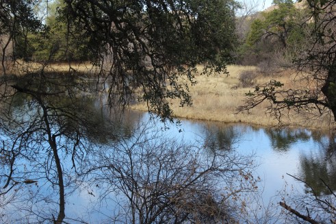 The creek itself was beautiful and the largest body of water we had seen in awhile 