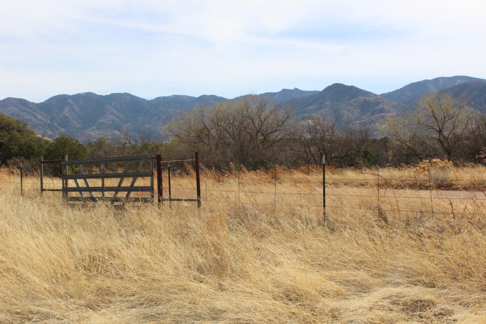 The view from the gate