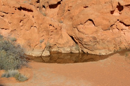 This piece of land was largely untouched because only the native americans knew where the water was