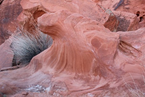 Lee liked this one because it looked like a wave