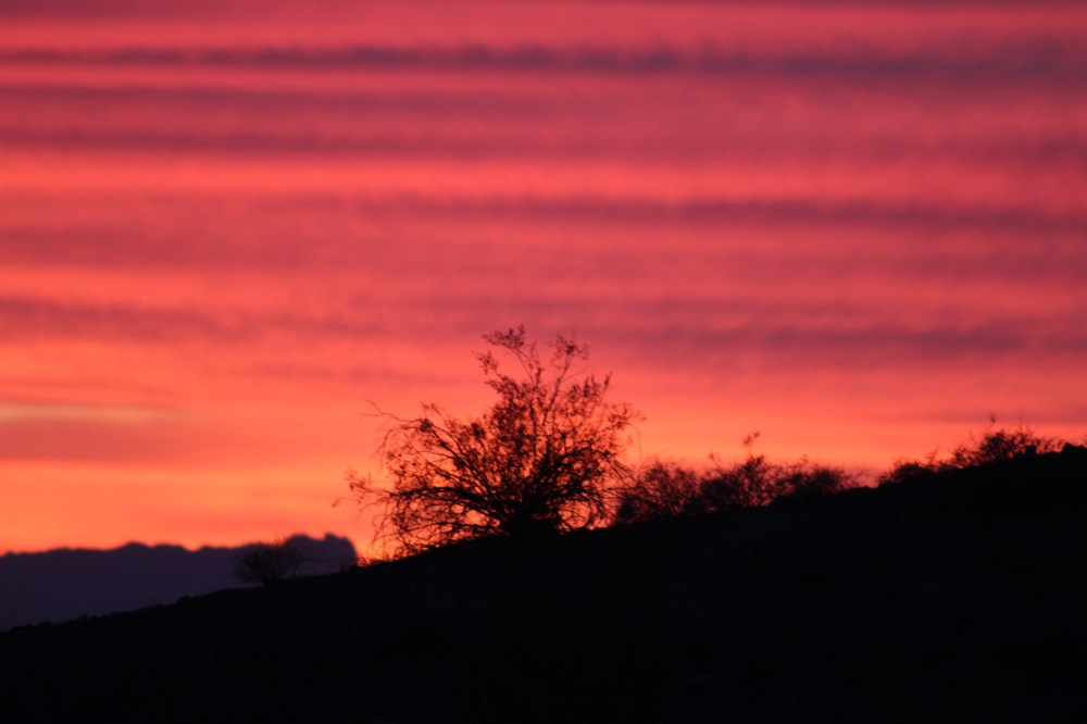 Not photo enhanced in any way