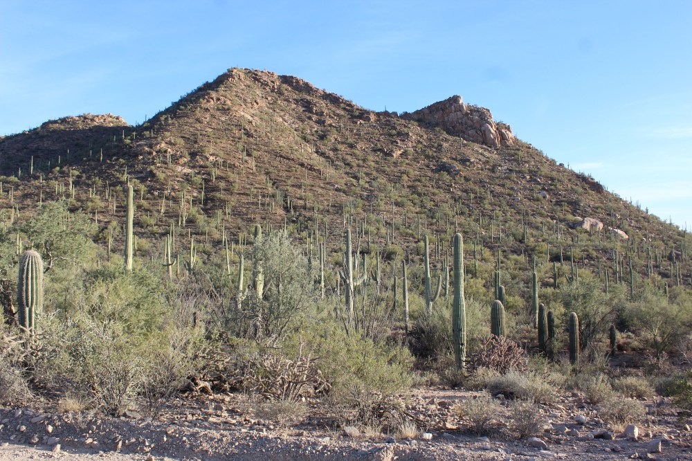 The views were spectacular