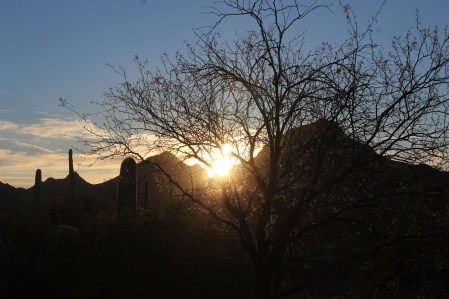 View from our front window