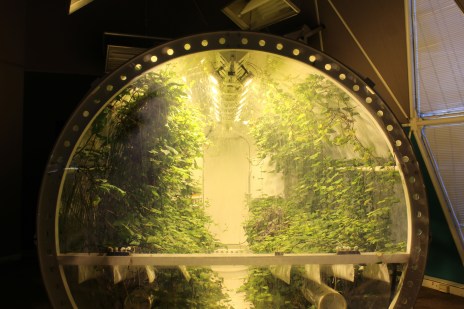 They also experiemented with growing food in these 100% self contained containers. Greg found this particularly fascinating