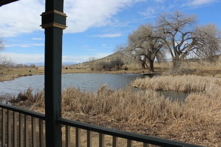 The view from the porch is awesome 