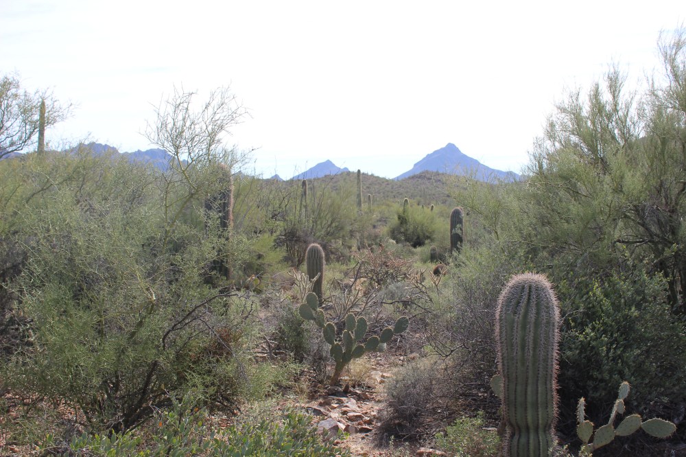 The views of the surrounding mountains were beautiful