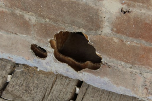 Look a little closer