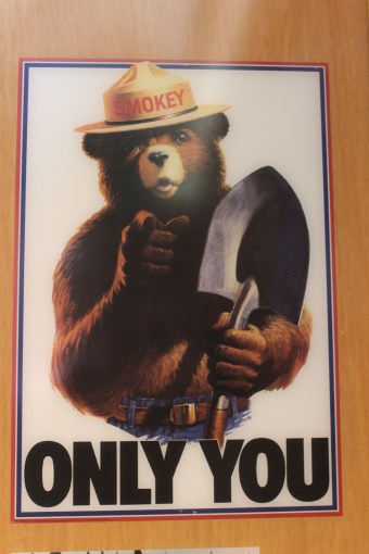 Lee's favorite childhood poster