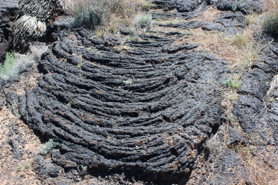 Loved these rippled rocks