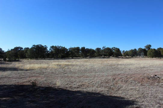 The overgrown baseball field we were up against