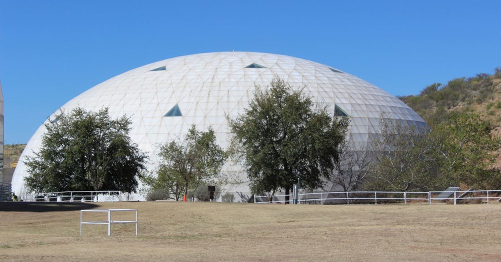 Outside view of the lung