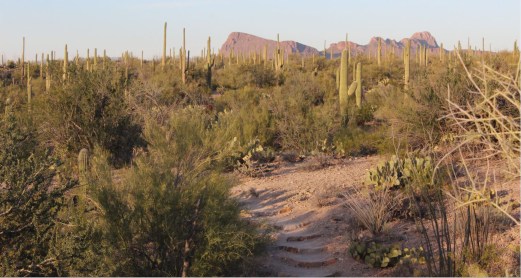 Lots of walking trails although we stayed close to the main road