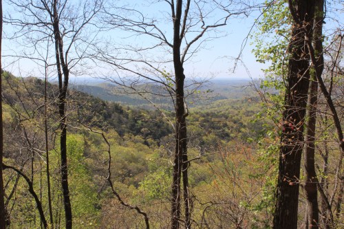 With some nice views between the trees