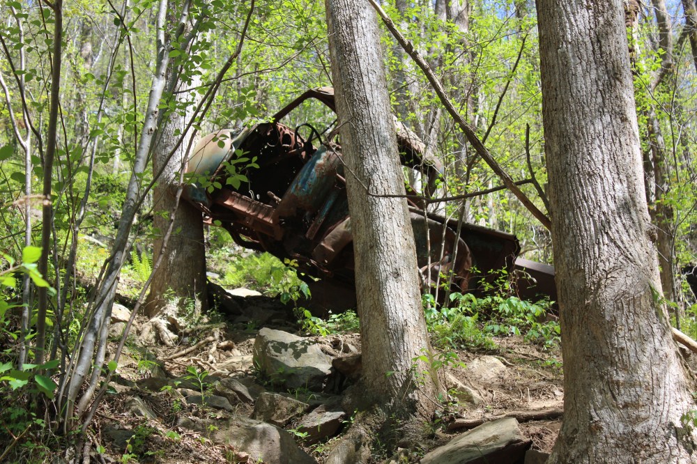 Another advantage of taking this trail is you get to see this old bootlegger truck. See how the tree is growing around it. Look up on your left as you are approaching the falls to find it