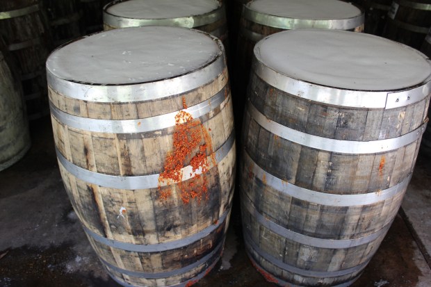 You can see some mash on the sides. That smell was pretty strong