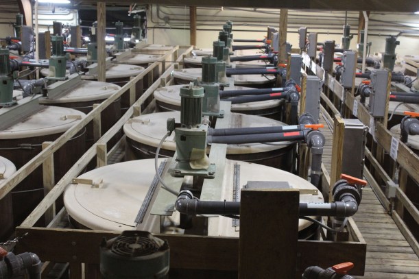 The huge mash blenders