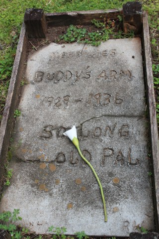 Loved that they left it all as original to the movie as possible