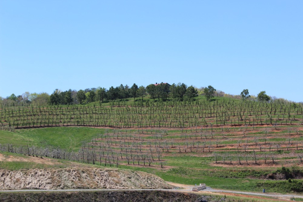 MErcier orchard has U-Pick specials but we were early in the season