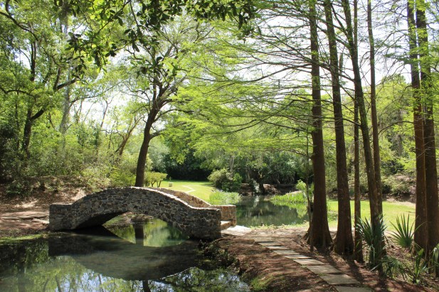 Beautiful pond and bridge