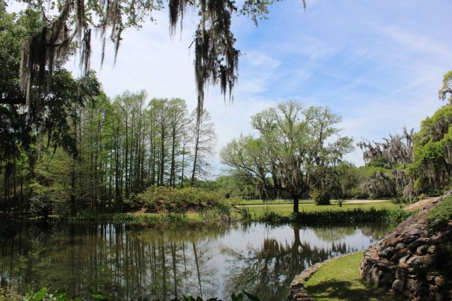 The surrdonging landscape was very peaceful