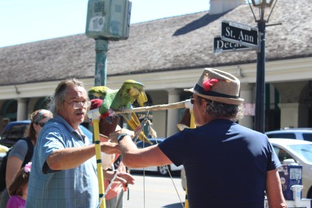 This guy was talking about how well trained his bird was and right on queue it bit him. Cracked me up