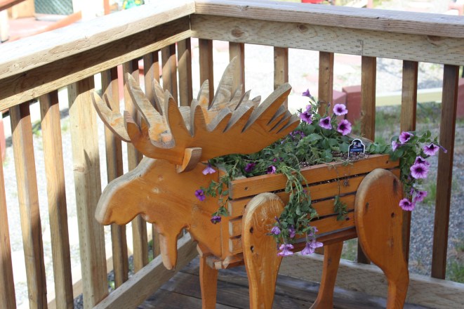 Lee fixed the moose antler for me which was very cool!!