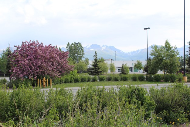 View from Home Depot