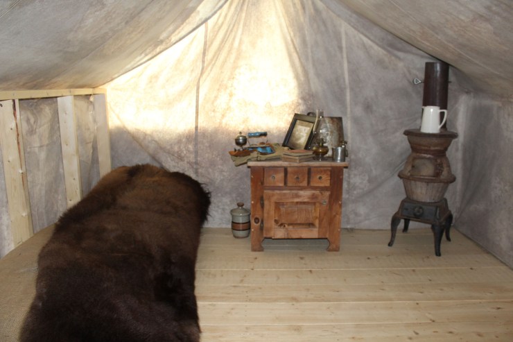 Real bear skin rug in the tent