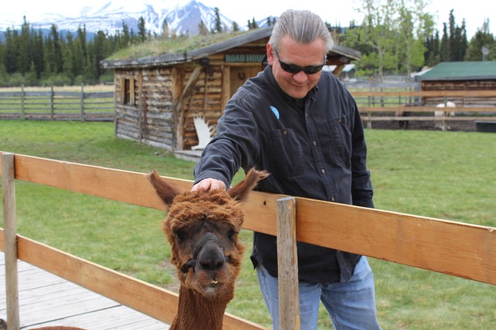 He did enjoy the alpaca though