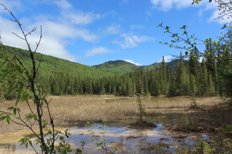 Great views as you walked