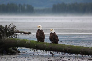 My shot from the road was ok 