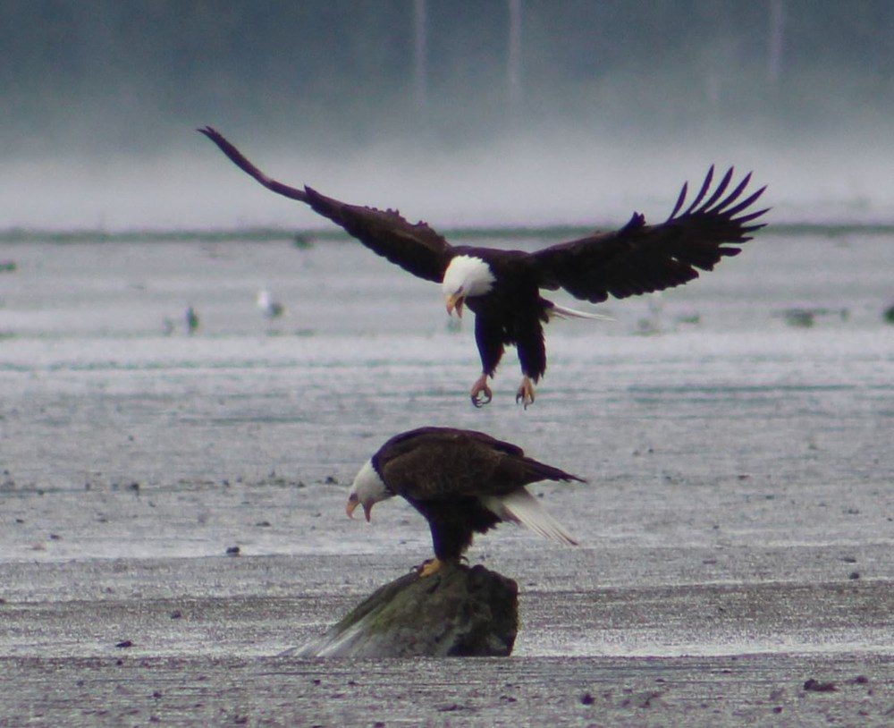 But Lee's was amaing