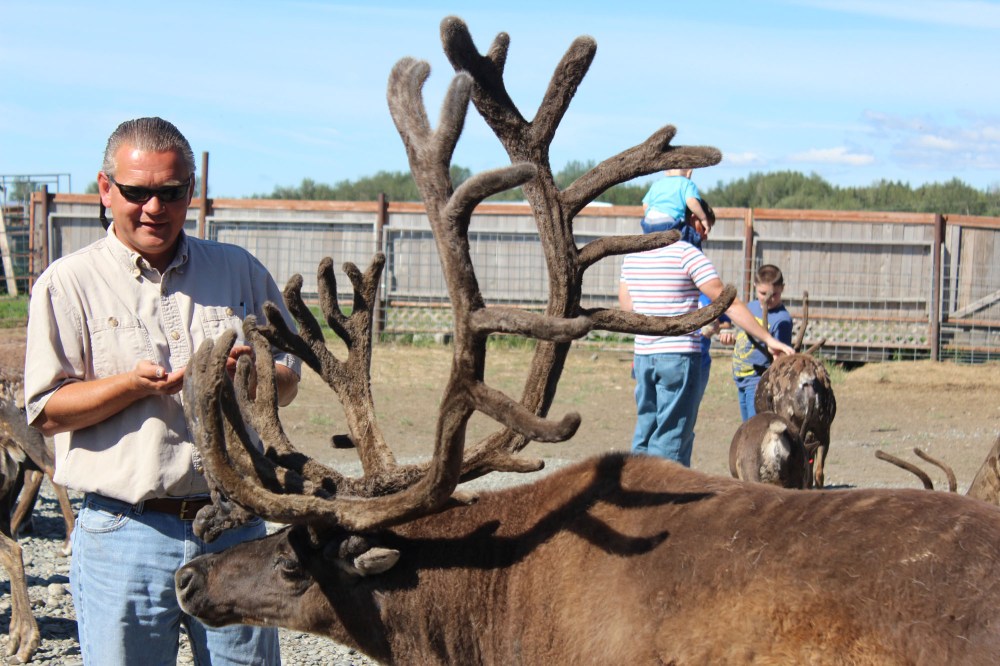 Lee with one of the two big males in the herd