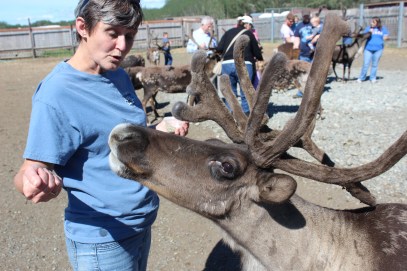 Agressive little boogers