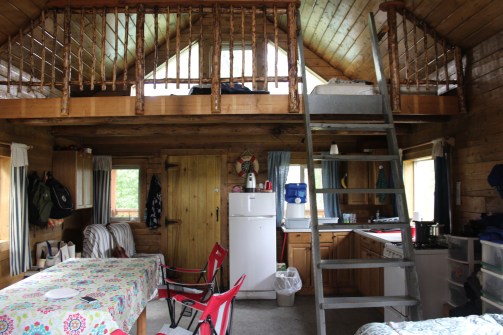 Propane fridge and wood stove