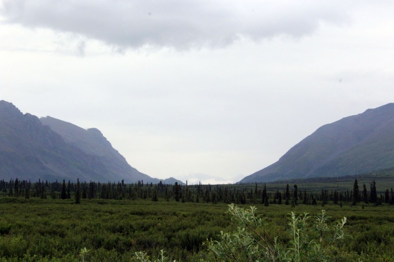 MP 22.5 Landmark Gap which was formed in an Ice Age more than 10,000 years ago. This gap was a favorite Inidna hunting area and the Nelchina caribou herd still migrates through this area. 