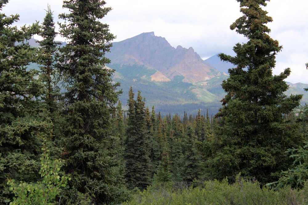 There was a wooden marker at this spot and the scene reminded me of a painting I had seen somewhere. If anyone knows it please let me know